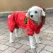 Зимний комбинезон «USA» для собак красный, размер L