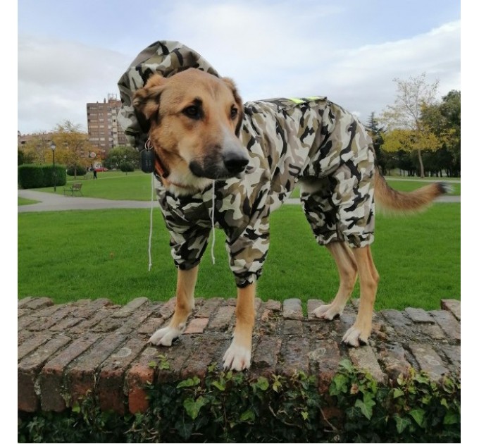 Дождевик для больших собак «Сити», камуфляж, размер 5XL