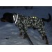 Дождевик для больших собак «Сити», камуфляж, размер 4XL