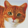 Набор для вышивания крестом 37х36 Рыжий кот Joy Sunday D454