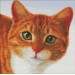 Набор для вышивания крестом 37х36 Рыжий кот Joy Sunday D454
