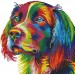 Набор для вышивания крестом 34х34 Разноцветная собака Joy Sunday DA124