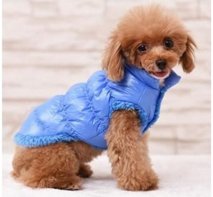 Куртка «Дутик» для собак голубая, размер 2XL