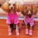 Зимние сапожки на меху для собак розовые, размер 2