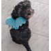 Шлейка + поводок для собак «Ангелочек», голубой, размер M