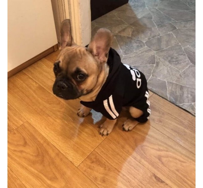 Спортивный костюм для собак «Adidog», черный, размер 2XL