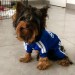 Спортивный костюм для собак «Adidog», синий, размер XL