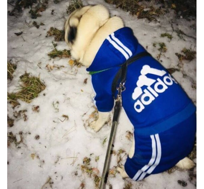 Спортивный костюм для собак «Adidog», синий, размер XL