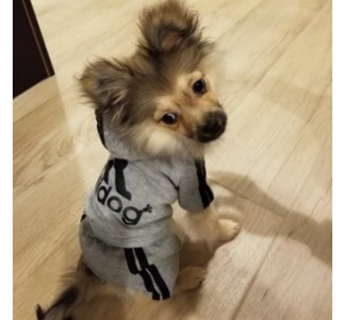 Спортивный костюм для собак «Adidog», серый, размер XL
