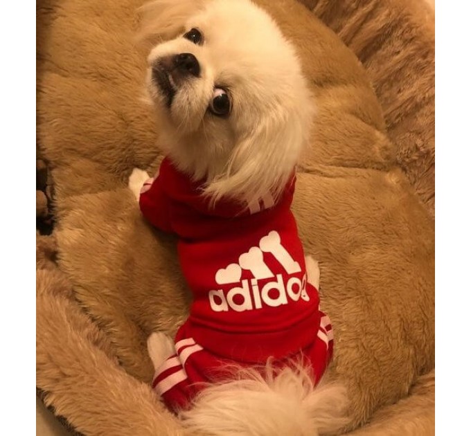 Спортивный костюм для собак «Adidog», красный, размер S