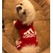 Спортивный костюм для собак «Adidog», красный, размер 2XL