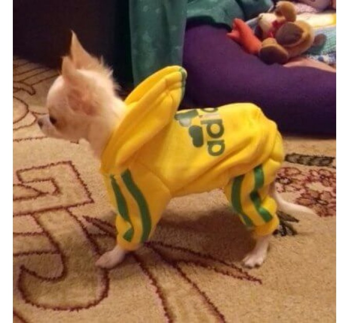 Спортивный костюм для собак «Adidog», желтый, размер S
