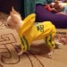 Спортивный костюм для собак «Adidog», желтый, размер XL