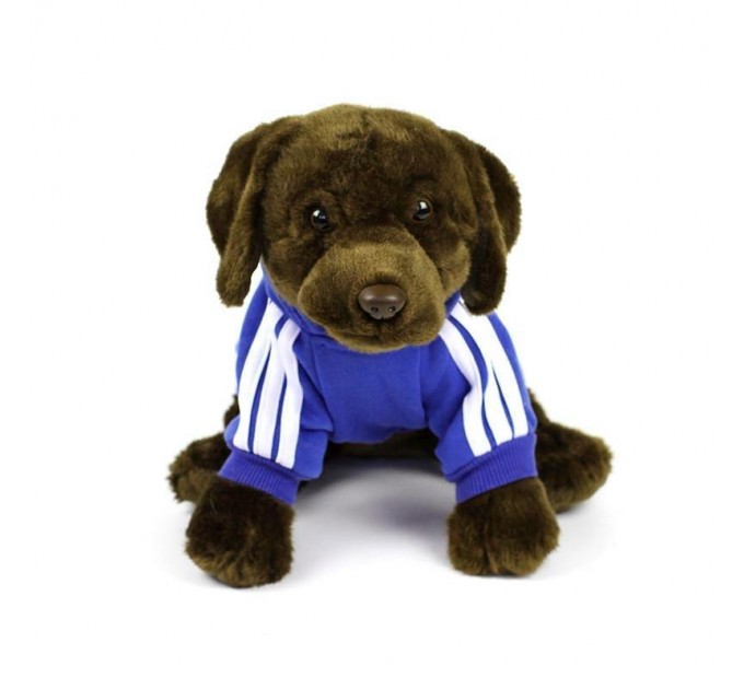 Толстовка Adidog для собак синяя, размер 4XL