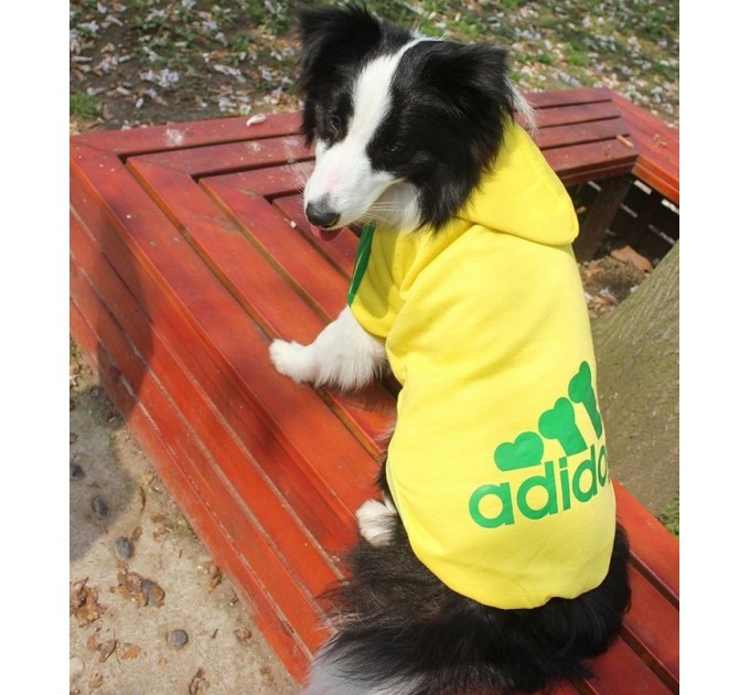 Толстовка Adidog для собак желтая, размер 6XL