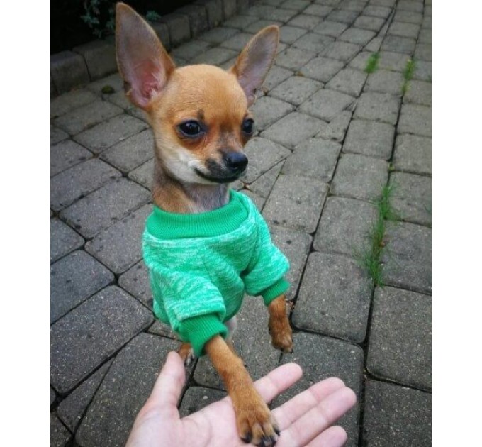 Джемпер для собак «Классик», зеленый, размер XS